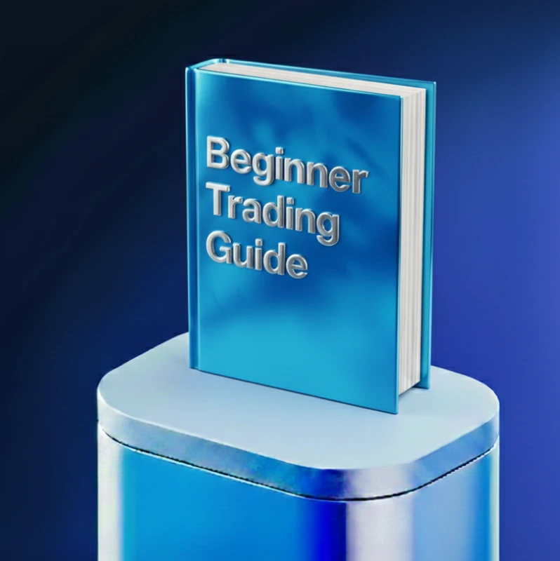 Beginner Trading Guide